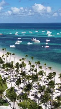 Punta Cana Skyline Punta Cana Dominik Cumhuriyeti 'nde Bavaro' da. Karayip silueti. Plaj manzarası. Doğa Deniz Burnu. Punta Cana Skyline, Bavaro, Punta Cana Dominik Cumhuriyeti. Manzara Palmiye Ağaçları.