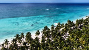 La Altagracia Dominik Cumhuriyeti 'ndeki Punta Cana' da Saona Adası. Karayip silueti. Plaj manzarası. Yerli Hindistan cevizi ağaçları. Dominik Cumhuriyeti, Punta Cana 'da Saona Adası. Doğa Deniz Burnu.