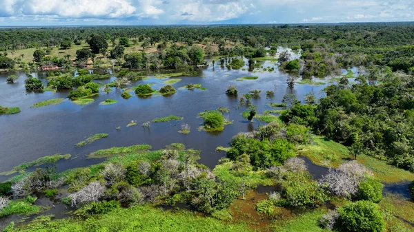 Amazon yağmur ormanları Manaus Amazonas Brezilya 'da. Sersemletici Nehir, Bereketli Tropikal Yağmur Ormanları 'ndan Geçiyor. Seyahat Ormanı Ormanı. Vahşi doğa Amazon Panoramik. Manaus Amazonas.