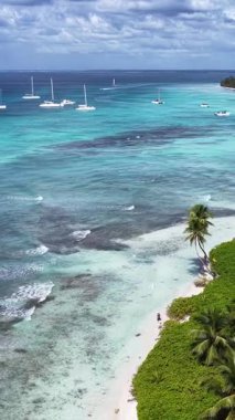 La Altagracia Dominik Cumhuriyeti 'ndeki Punta Cana' da Saona Adası. Karayip silueti. Plaj manzarası. Yerli Hindistan cevizi ağaçları. Dominik Cumhuriyeti, Punta Cana 'da Saona Adası. Doğa Deniz Burnu.