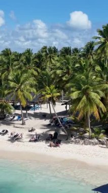 Punta Cana Dominik Cumhuriyeti 'ndeki Saona Adası' ndaki Beyaz Kum Plajı. Plaj manzarası. Mavi Deniz 'in gölgeleri. Seyahat güzergahı. Punta Cana Dominik Cumhuriyeti 'ndeki Saona Adası' ndaki Beyaz Kum Plajı.