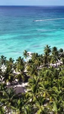 La Altagracia Dominik Cumhuriyeti 'ndeki Punta Cana' da Saona Adası. Karayip silueti. Plaj manzarası. Yerli Hindistan cevizi ağaçları. Dominik Cumhuriyeti, Punta Cana 'da Saona Adası. Doğa Deniz Burnu.