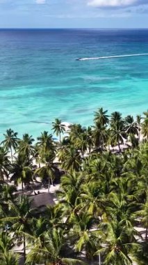 Punta Cana Dominik Cumhuriyeti 'ndeki Saona Adası Skyline' da. Plaj manzarası. Mavi Deniz 'in gölgeleri. Seyahat güzergahı. Saona Adası 'ndaki Skyline Punta Cana Dominik Cumhuriyeti.