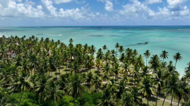Maragogi Alagoas Brezilya 'daki Antunes Plajı. Yaz tatilinde harika bir sahil manzarası olan kuş bakışı. Kıyı Bulutları Gökyüzü Sahil Denizi. Deniz kenarındaki panoramik. Maragogi Alagoas.