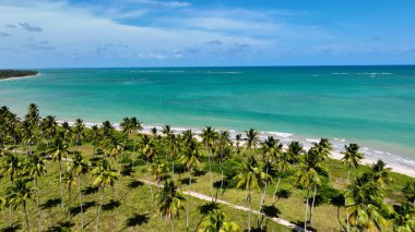 Canela Rio Grande Do Sul Brezilya 'da Geleceğin Dönme Dolabı. Kuşlar, sokaklar ve binalarla çarpıcı şehir manzarasına bakıyor. Altyapı Skyline Panoramik Şehir Görünümü Muhteşem.