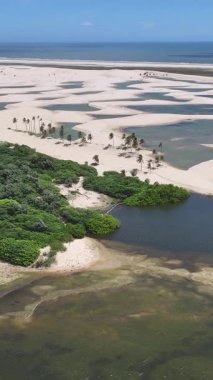 Maranhao Brezilya 'daki Tutoia' da küçük çarşaflar. Doğa manzarası. Kıvrımlı kum tepeleri. Tutoia 'da küçük çarşaflar. Yağmur suyu gölleri. Güzel Yüksek Kumullar. Yaz Gezisi. Brezilya Kuzeydoğu.
