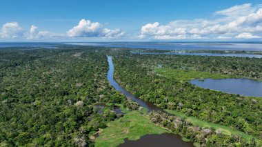 Amazon Ormanı Manaus Amazonas Brezilya 'da. Sersemletici Nehir, Bereketli Tropikal Yağmur Ormanları 'ndan Geçiyor. Bolivya Nehri Yağmur Ormanı Gölü. Yağmur Ormanı. Manaus Amazonas.