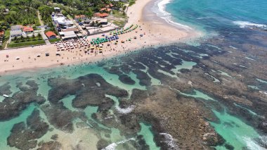 Port of Chicken Pernambuco Brazil 'deki Cupe Plajı. Büyüleyici Tropikal Sahne Sahnesi Yukarıdan Görünüyor. Shore Clouds Plaj Denizi. Shore Panning Wide 'da. Port of Chicken Pernambuco.