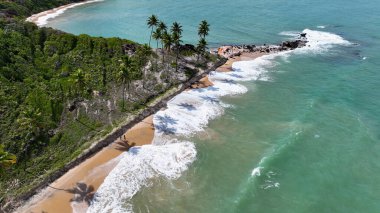 Conde Paraiba Brezilya 'daki Coqueirinho Plajı. Bereketli bir tropikal sahil manzarasının nefes kesici görüntüsü. Ada Hayatı Manzarası Huzurlu Güzel. Huzurlu. Conde Paraiba.