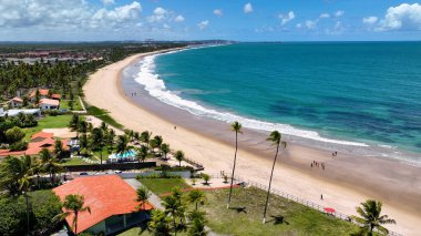 Port of Chicken Pernambuco Brazil 'deki Cupe Plajı. Büyüleyici Tropikal Sahne Sahnesi Yukarıdan Görünüyor. Issız Manzara Cenneti Vibrant. Terk edilmiş yaz zamanı. Port of Chicken Pernambuco.