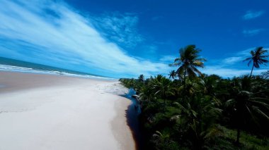 Itacare Bahia Brezilya 'daki tropik plaj. Bereketli bir tropikal sahil manzarasının nefes kesici görüntüsü. Terk edilmiş Skyline Sezon Arzusu. Liman Kıyısı Mevsimi. Itacare Bahia.