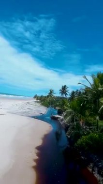 Bahia Brezilya 'daki Itacare Tropikal Plajı. Turizm arazisi. Doğa Arkaplanı. Seyahat Manzarası. Tatil Varış Yeri. Deniz Burnu Sahnesi. Bahia Brezilya 'daki Itacare Tropikal Plajı.