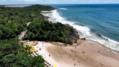 Itacare Bahia Brezilya 'daki Tiririca Plajı. Kristal berrak sularla sersemletici sahilin havadan görünüşü. Cennet Adası Manzarası Minnettar Güzel. Yaz zamanı Grateful Coast. Itacare Bahia.