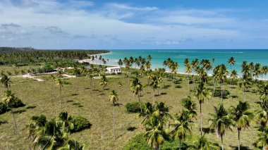 Sao Miguel Dos Milagres Alagoas Brezilya 'daki sahil manzarası. Bereketli bir tropikal sahil manzarasının nefes kesici görüntüsü. Cennet Adası Manzarası Minnettar Güzel. Yaz Zamanı Minnettar Kıyı.