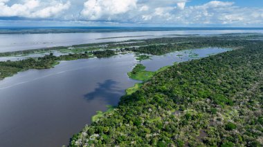 Amazon Nehri Manaus Amazonas Brezilya 'da. Amazon yağmur ormanlarında selin etkilerini yakalıyoruz. Orman Bitkisi Amazon Yeşili. Vahşi doğa Panoramik Manzara. Manaus Amazonas.