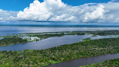 Amazon Ormanı Manaus Amazonas Brezilya 'da. Amazon Nehri, yemyeşil yeşillikler ve nehir tekneleri gösteriyor. Yaban Ormanı 'nda seyahat edin. Seyahat Güzel Gün Amazon Panoraması. Manaus Amazonas.
