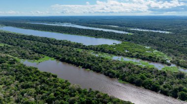 Amazon Nehri Manaus Amazonas Brezilya 'da. Nehir yemyeşil orman manzarasından akıyor. Kırsal alanda dramatik bulutlar kırsal alanda. Kırsal Panning Geniş Peyzaj. Manaus Amazonas.