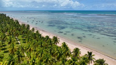 Sao Miguel Dos Milagres Alagoas Brezilya 'daki Patacho Plajı. Turkuaz Okyanus Dalgaları Tropik Sahile Yavaşça Çarpıyor. Sahil Bulutları Yaz mevsimi. Sahil Panorama. Sao Miguel dos Milagres Alagoas.