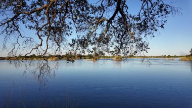 Victoria Falls Matabeleland 'deki Zambezi Nehri Kuzey Zimbabwe. Etrafı yemyeşil tropikal yağmur ormanlarıyla çevrili bir nehrin havadan görünüşü. Doğa Gökyüzü Bulutları Dağ Kanyonu. Doğa Panoramik Görünümü.