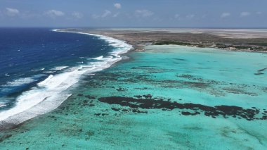 Kralendijk Bonaire Hollanda 'daki Sorobon Plajı Antilleri. Birds 'ün Karayip Sahili Manzarası. Issız Manzara Cenneti Vibrant. Terk edilmiş yaz zamanı. Kralendijk Bonaire.