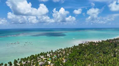 Maragogi Alagoas Brezilya 'da tekne gezisi. Tropikal bir günde sürat teknesi hız yapıyor. Cennet Peyzajı Gezgin Şehveti. Cennet Sahili. Maragogi Alagoas.