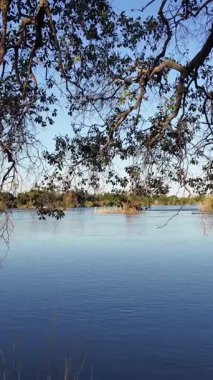 Kuzey Zimbabwe 'deki Victoria Şelalesi' ndeki Zambezi Nehri. Dev Şelaleler. Doğa manzarası. Kuzey Zimbabwe 'de Victoria Şelalesi. Zambezi Nehri. Seyahat Manzarası.