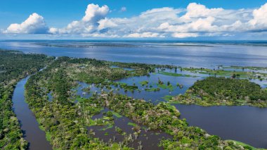 Amazon Nehri Manaus Amazonas Brezilya 'da. Sersemletici Nehir, Bereketli Tropikal Yağmur Ormanları 'ndan Geçiyor. Açık Hava Ülkesi Çarpıcı Yolu. Taşra. Manaus Amazonas.
