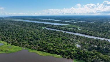 Amazon Nehri Manaus Amazonas Brezilya 'da. Amazon Nehri, yemyeşil yeşillikler ve nehir tekneleri gösteriyor. Seyahat Ormanı Ormanı. Vahşi doğa Amazon Panoramik. Manaus Amazonas.