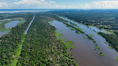 Amazon Ormanı Manaus Amazonas Brezilya 'da. Sersemletici Nehir, Bereketli Tropikal Yağmur Ormanları 'ndan Geçiyor. Orman Üstgeçidi Amazon Yeşili. Vahşi doğa yağmur mevsimi. Manaus Amazonas.