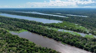 Amazon Nehri Manaus Amazonas Brezilya 'da. Amazon yağmur ormanlarında selin etkilerini yakalıyoruz. Bolivya Nehri Yağmur Ormanı Gölü. Yağmur Ormanı. Manaus Amazonas.