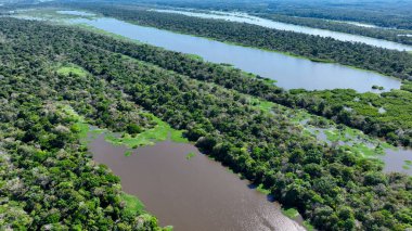 Amazon Ormanı Manaus Amazonas Brezilya 'da. Amazon Nehri, yemyeşil yeşillikler ve nehir tekneleri gösteriyor. Orman Bitkisi Amazon Yeşili. Vahşi doğa Panoramik Manzara. Manaus Amazonas.