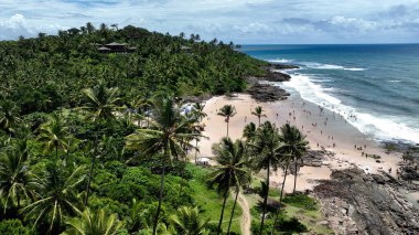 Itacare Bahia Brezilya 'daki Tiririca Plajı. Bereketli bir tropikal sahil manzarasının nefes kesici görüntüsü. Horizon Sahili Denizi kıyısında. Shore Seaside Panning Wide 'da. Itacare Bahia.