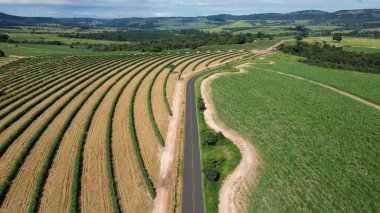 Country Road in Country Scene Kırsal Peyzaj Brezilya. Huzurlu Dağlar Vadisi ve Orman Ağaçları Kuşbakışı Görünümü. Kırsal alanda dramatik bulutlar kırsal alanda. Kırsal Panelin Peyzaj Düzenlemesi.