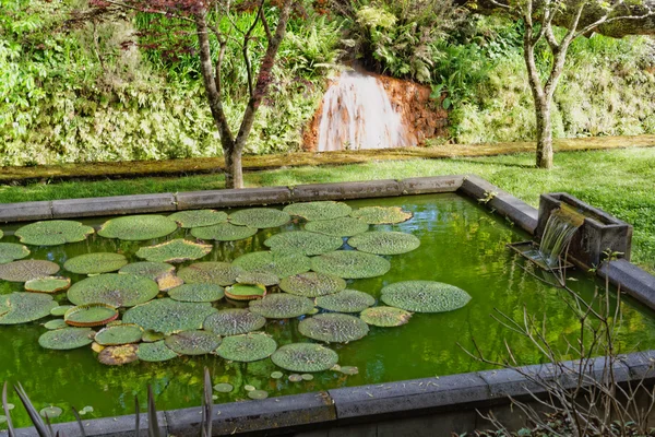 Beautiful botanic garden of Furnas