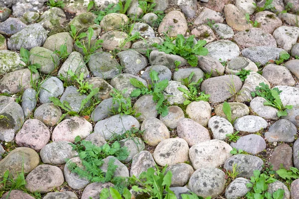 Stone pavement texture. Granite cobblestoned pavement background