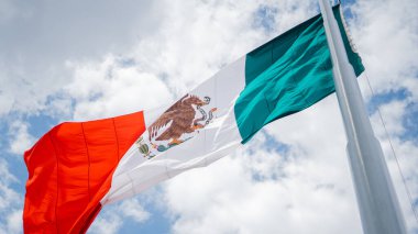 Rüzgarda Dalgalanan Meksika Bayrağının Düşük Açı Görünümü