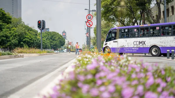 Arka planda otobüsü olan Bulanık Mor Çiçekler Caddenin ortasında