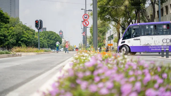 Arka planda otobüsü olan Bulanık Mor Çiçekler Caddenin ortasında