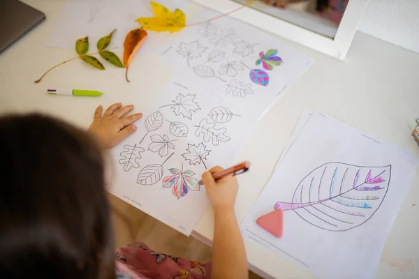 Маленькая девочка раскрашивает разные виды листьев на бумажном листе ручкой — стоковое фото