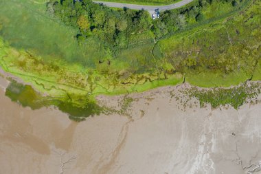 Alg ve Kum 'un yanında ağaçların ve otların hava manzarası
