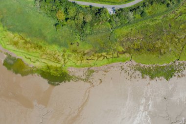 Alg ve Kum 'un yanında ağaçların ve otların hava manzarası