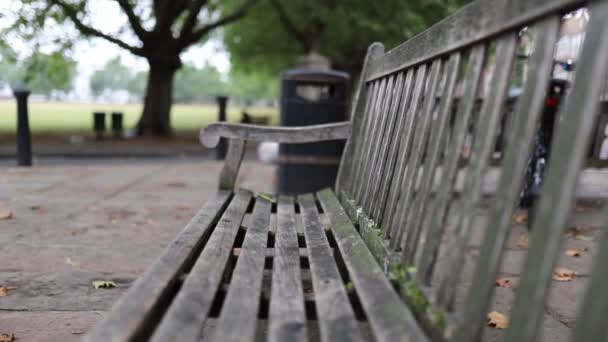 Looking at the Grassland of a Park From a Wooden Bench Next to a Trash Can — ストック動画