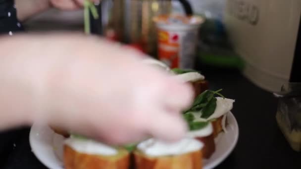 La preparación de un plato de pan y queso acompañado de hojas verdes frescas — Vídeo de stock