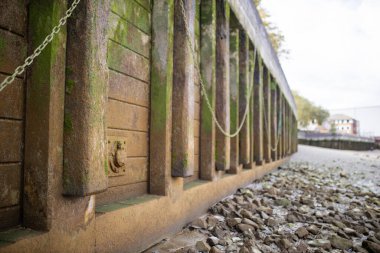 Landscape View of a Rocky Ground and a Concrete Wall Partially Covered by Moss