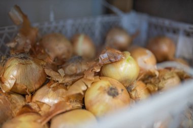 Fresh Brown Onions in a White Plastic Basket For Sale
