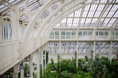 Inside the Kew Garden Palm House-Built 1844-White railed Walkway Around the Top
