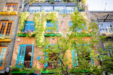 Landscape View of a Red Brick Building with Plants Outside the Windows