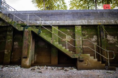 Landscape View of a Staircase Next to a Concrete Wall Partially Covered by Moss
