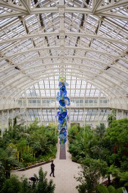 Beautiful Blue Fowers Hanging from Glass and Metal Ceiling of a Botanical Garden
