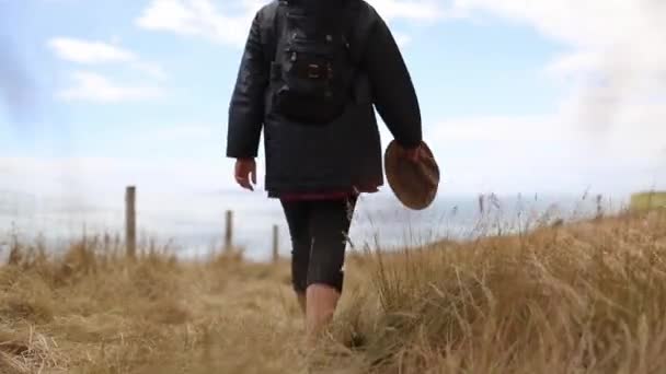 Woman Walking Joyfully on Tall Dry Grass with a Blue Sky as Background — Stockvideo